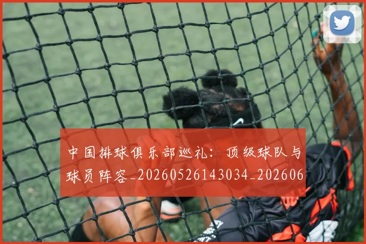 中国排球俱乐部巡礼:顶级球队与球员阵容_20260526143034_20260607160545