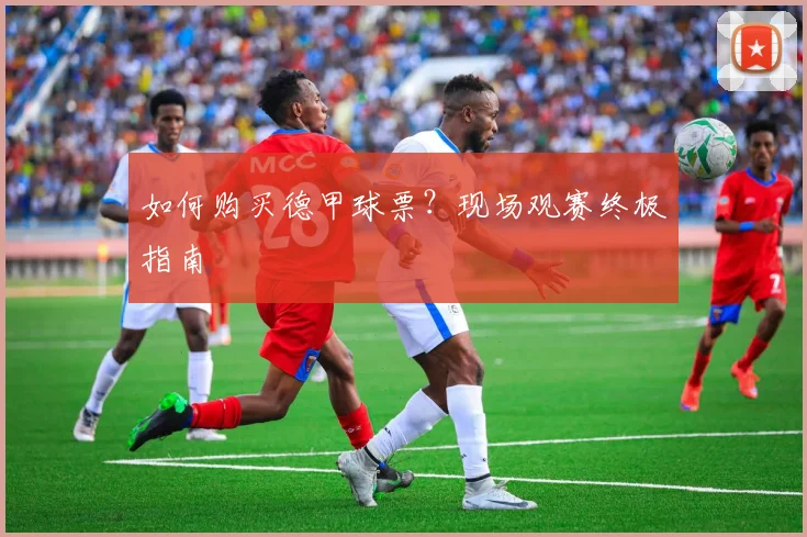 如何购买德甲球票?现场观赛终极指南