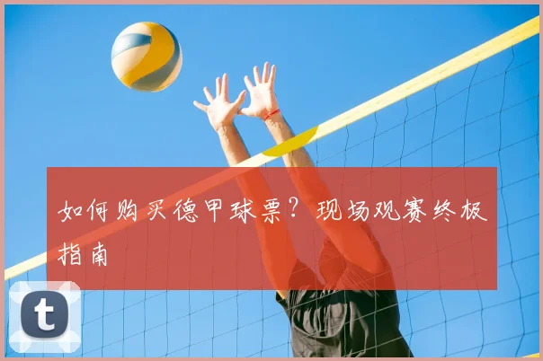 如何购买德甲球票？现场观赛终极指南
